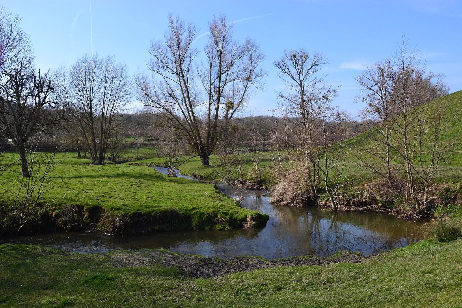De Gulp slingert door weiland langs kale bomen met maretakken, bij Slenaken