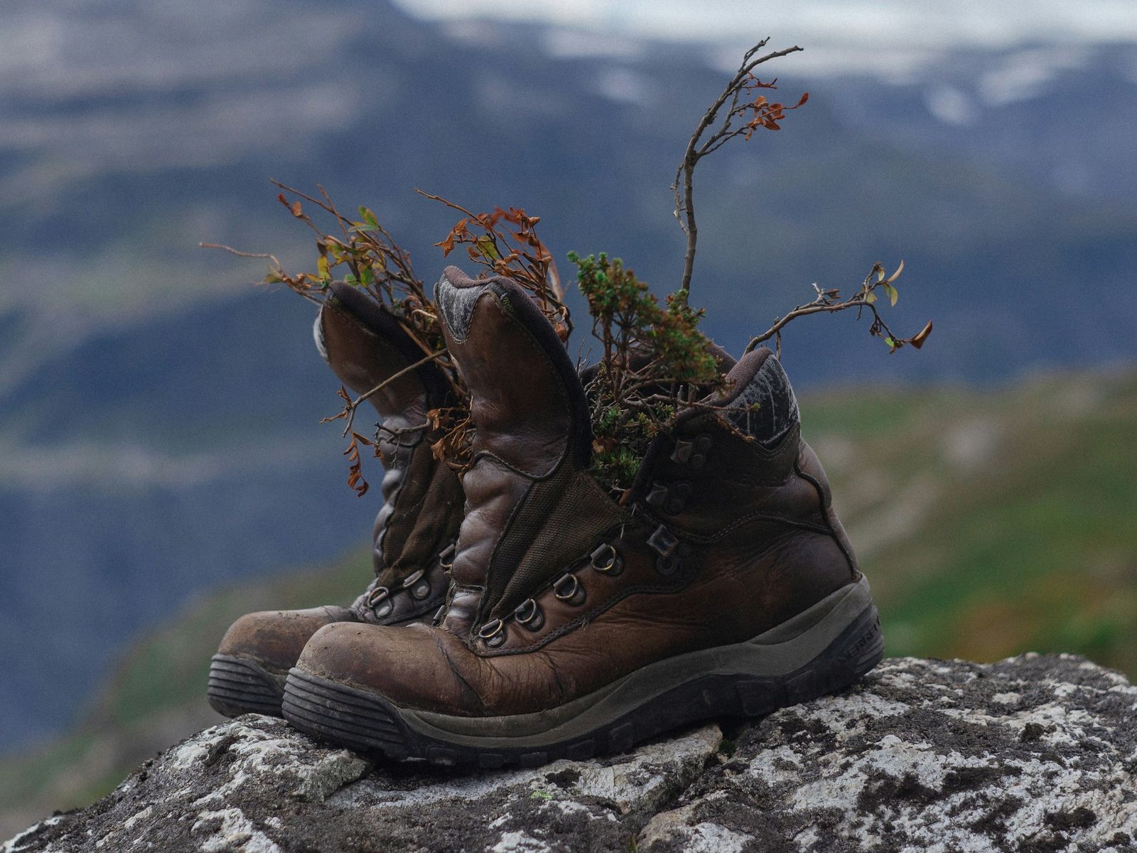Een paar hoge wandelschoenen van donkerbruin leer op een rots met korstmos, met takjes in de schoenen gestoken; op de achtergrond onscherp een bergdal