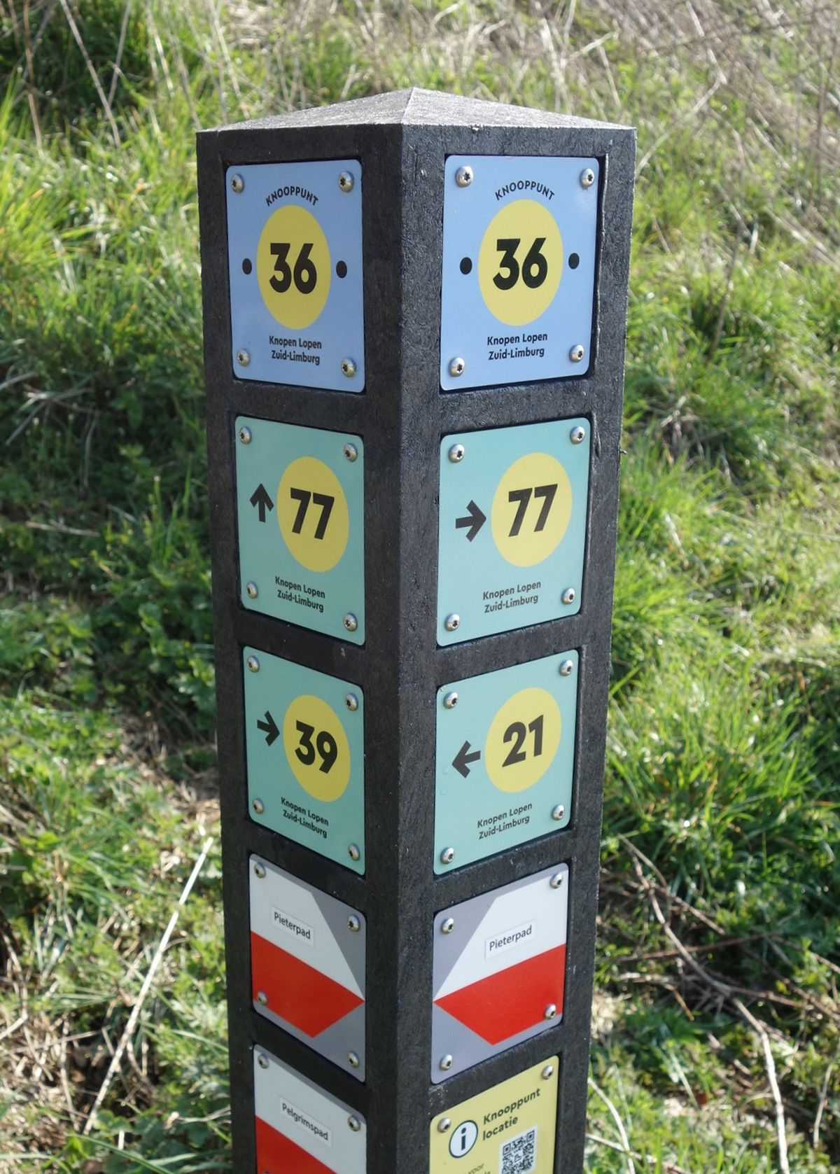 Zwarte paal met bovenaan twee lichtblauwe bordjes met Knooppunt 36, daaronder blauwgroene bordjes met een zwarte pijl en de nummers 77, 39 en 21 in een gele cirkel, en daaronder wit-rode bordjes met de namen Pieterpad en Pelgrimspad