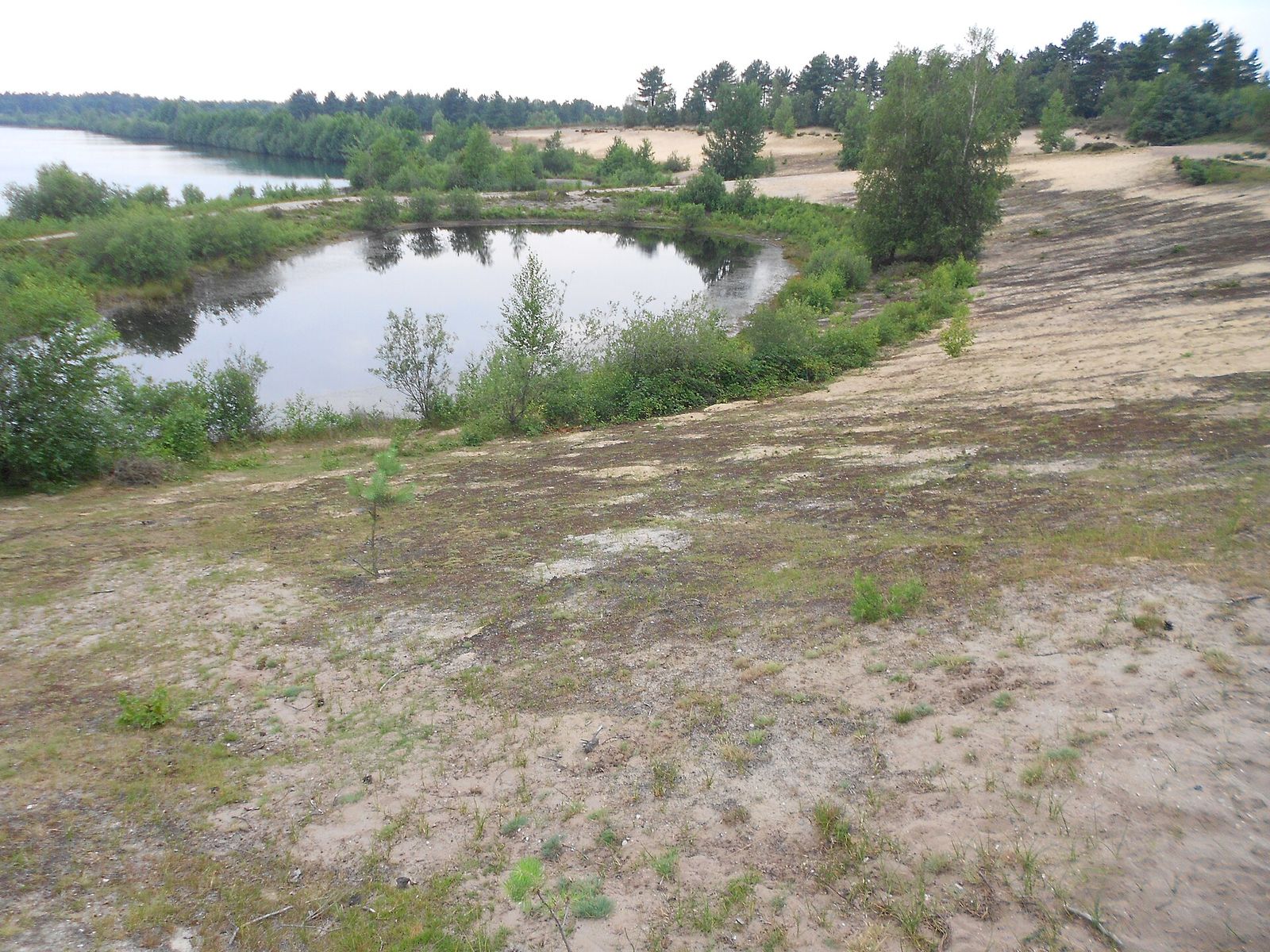 Zandhelling met een ronde plas, daarachter het Reindersmeer en open stuifzand met dennen