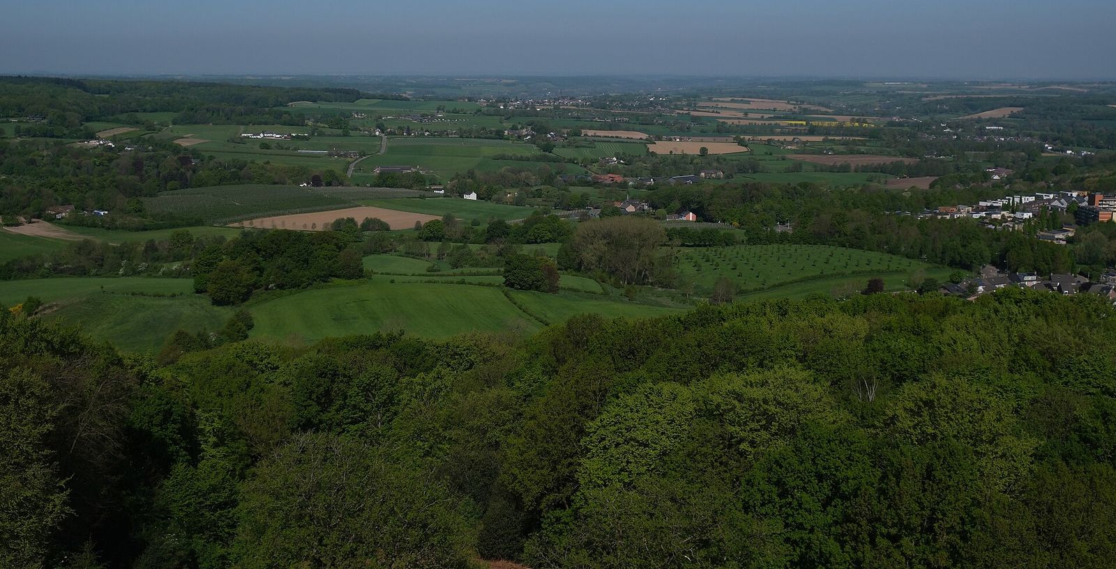 Uitzicht over boomkronen op glooiende weiden, akkers en boomgaarden, met rechts de rand van een dorp